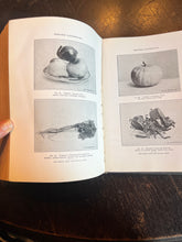 Load image into Gallery viewer, Antique medical book domestic medical practice book ￼