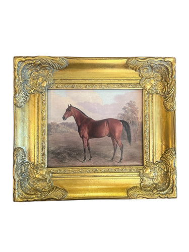 Equestrian Horse Canvas in Gilt Frame