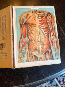 Antique medical book domestic medical practice book ￼