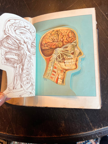 Antique medical book domestic medical practice book ￼ - Vintage AnthropologyVintage Anthropology