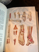 Load image into Gallery viewer, Antique medical book health knowledge, 1927